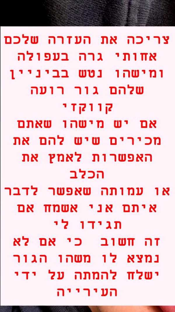 yaelb.resler archive image