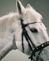 zuhazana Altpins Profile Picture