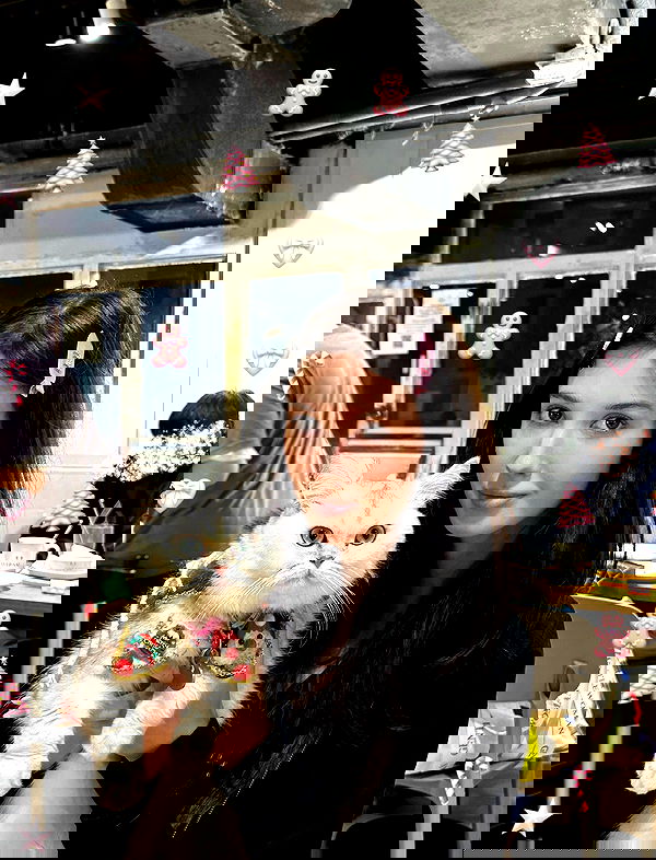 hanna_ky hanna_ky archive image