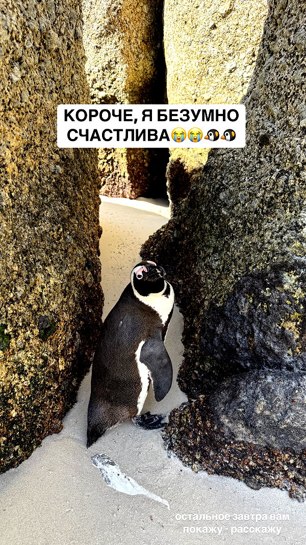 pokrov90 instagram image archive image