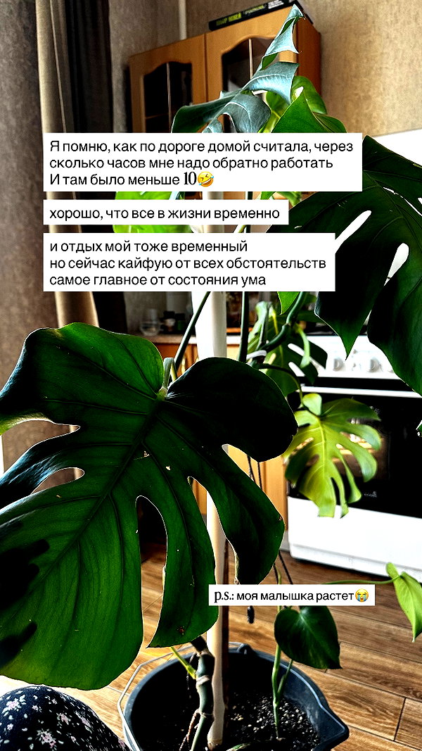 midnightdrearry instagram image archive image