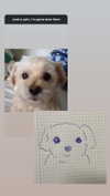 iljfgigi Altpins Profile Picture