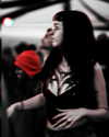 rikol_nohana Altpins Profile Picture