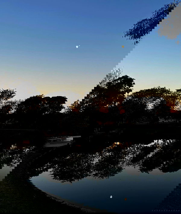 jtilb image ~ Altpins