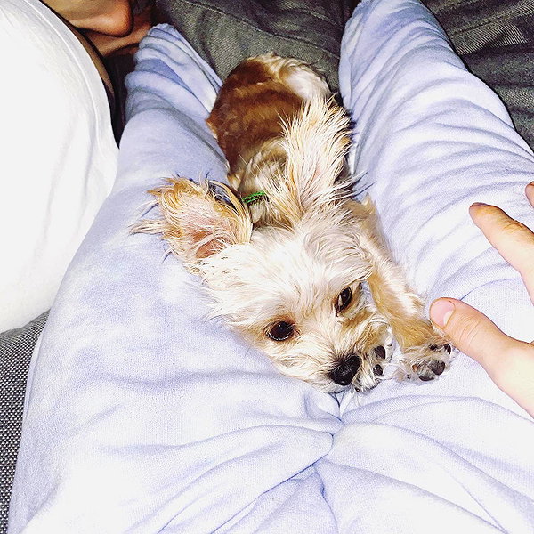 lilbieber instagram image archive image