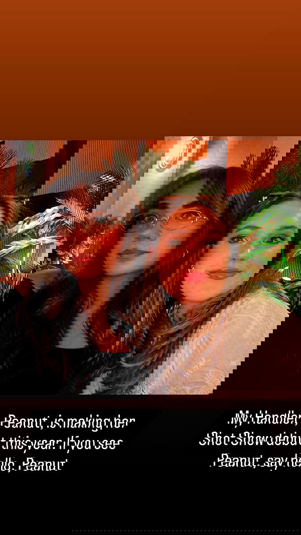 haylujan haylujan archive image