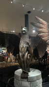 maori_cohen Altpins Profile Picture