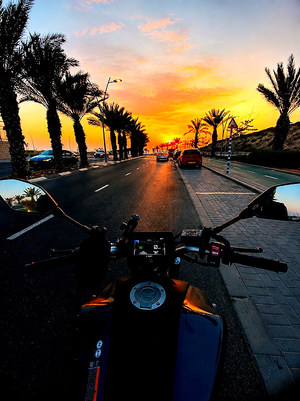 shanidahan7 instagram image archive image