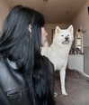 kriskaik Altpins Profile Picture
