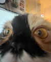 mewisa Altpins Profile Picture