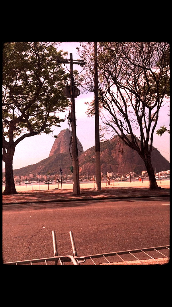 arabelladourado archive image