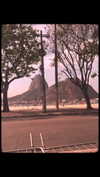 arabelladourado Altpins Profile Picture