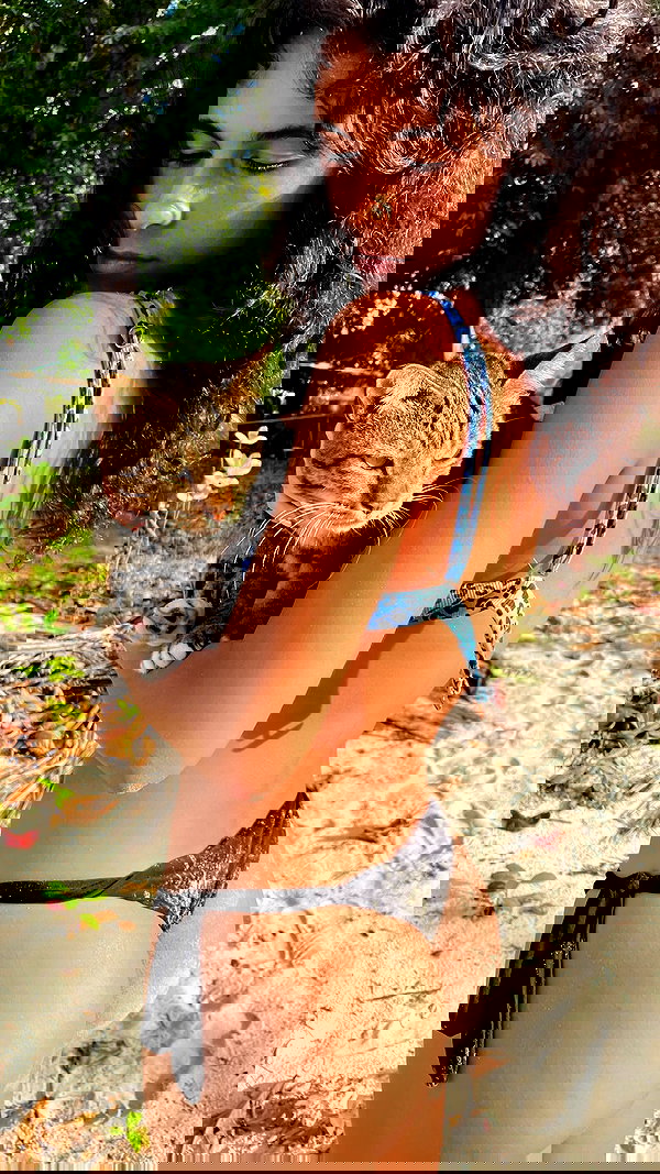 tamagotkri tamagotkri archive image