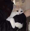 luly1980s Altpins Profile Picture