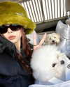 dear.zia Altpins Profile Picture