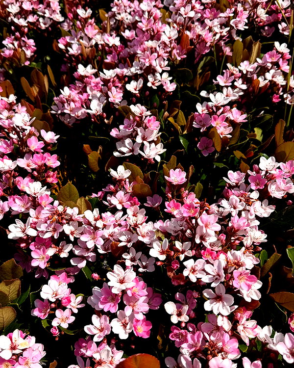 atlaseuu instagram image archive image