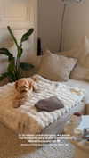 sophiecharlotth Altpins Profile Picture