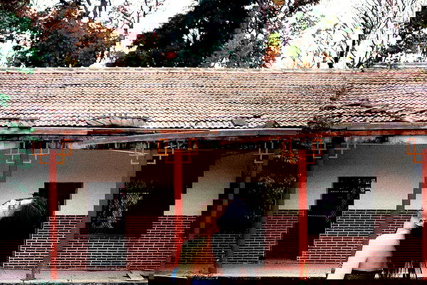 ting851204 ting851204 archive image