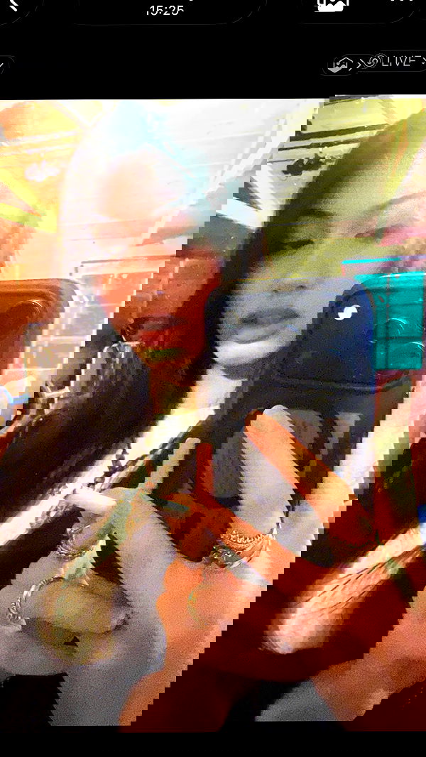 xeiyza image ~ Altpins