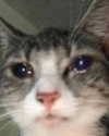 catl0verr69 Altpins Profile Picture