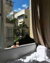 roni_ackerman Altpins Profile Picture