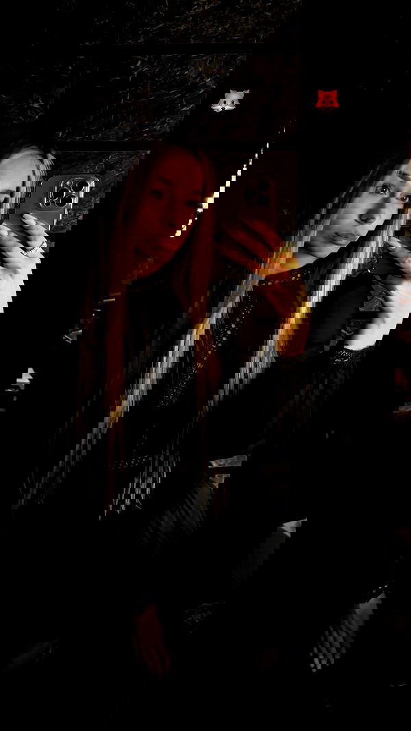 pinx_ir pinx_ir archive image