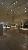 federica.piccinni Altpins Profile Picture