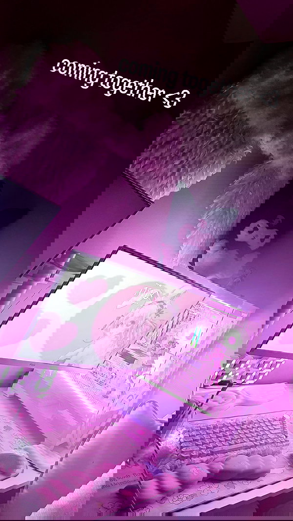 svgarbvnnies svgarbvnnies archive image