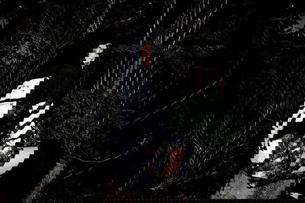 ting851204 ting851204 archive image