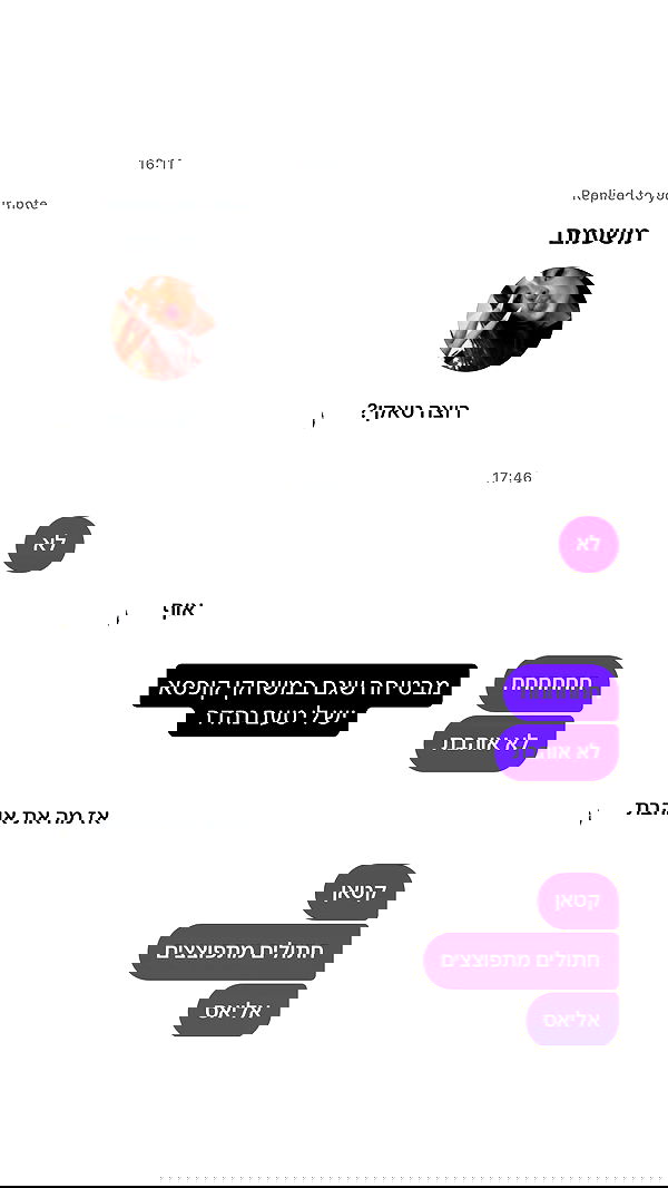 _lil_noa_ _lil_noa_ archive image