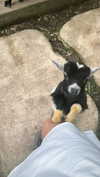 _mashachka_ Altpins Profile Picture