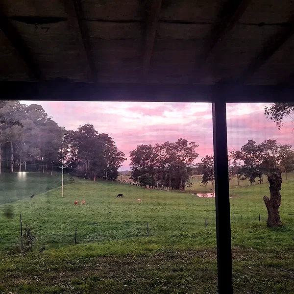 ayliehayward instagram image archive image