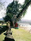 6nattynat9 Altpins Profile Picture