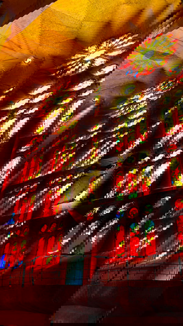 taylor.creeden taylor.creeden archive image