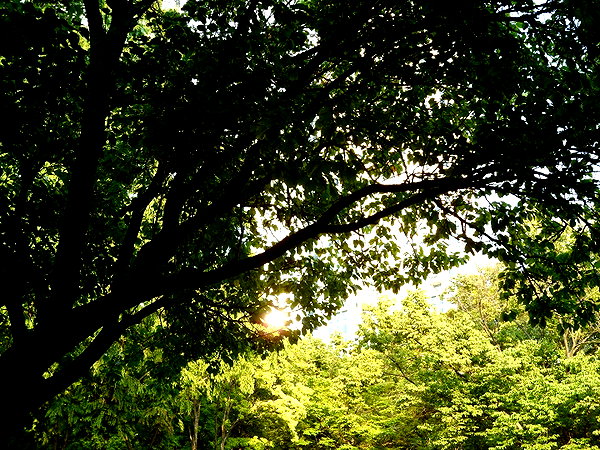 mxrul0y instagram image archive image