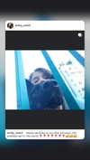 emily_new2 Altpins Profile Picture