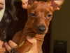 vanessa.rhd Altpins Profile Picture
