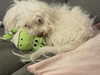 hellokittyangel666 Altpins Profile Picture