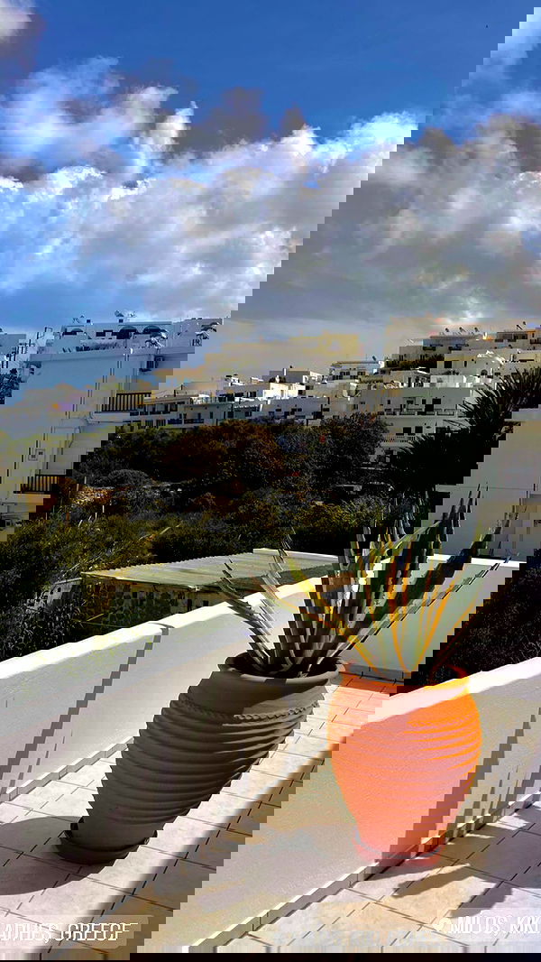 taylor.creeden taylor.creeden archive image