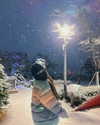 yuna_1_27 Altpins Profile Picture