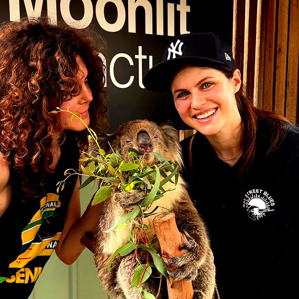 alexandradaddario instagram image archive image
