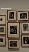 federica.piccinni Altpins Profile Picture