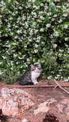 dante_yangpa Altpins Profile Picture