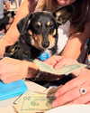 reneeebeller Altpins Profile Picture