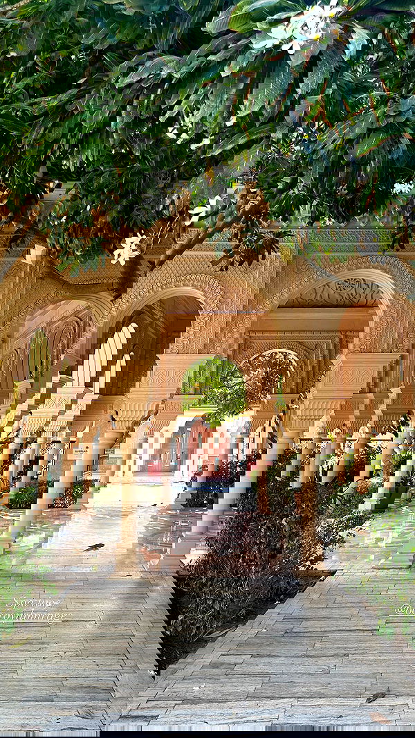 taylor.creeden taylor.creeden archive image