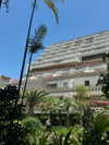 gabimfmoura Altpins Profile Picture