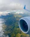 gabrielabee Altpins Profile Picture