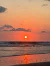 michalcohen___ Altpins Profile Picture