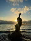 nina.kxs Altpins Profile Picture