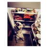 katehudson Altpins Profile Picture
